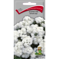 �������� ����� ���