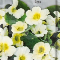 �������������������������������