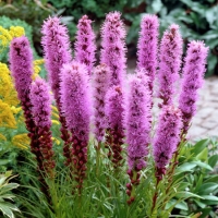 f1_b5e66fab-c03c-40ae-8ebe-58792b63814b