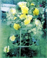 f1_1cf12b39-d6df-4add-8151-abea4c2b4e62