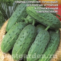 �������������������������������