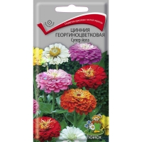 ������ ����������������� ����� ����