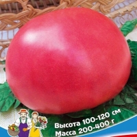 ����� ����������