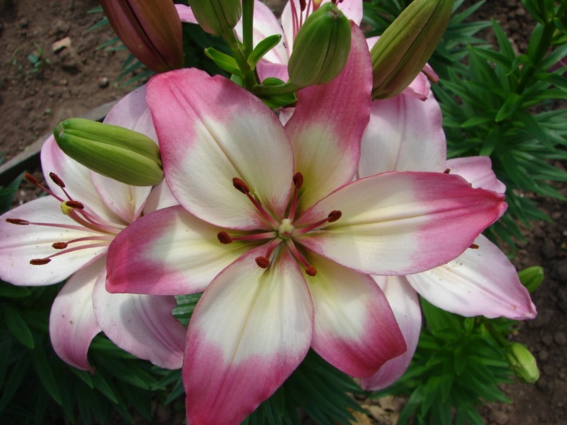 f1_b9a52c95-d66b-47de-8d8d-8af1c21a780d