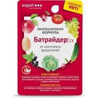 ��������� 10 ��