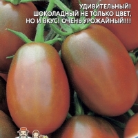 ����� ��������� �����-���������