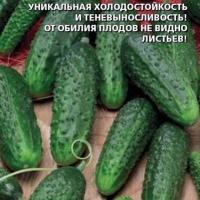 ��������� ��������