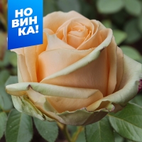 ��������0