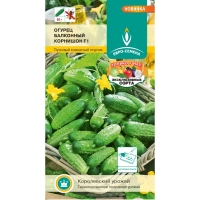 ������ ��������� ��������