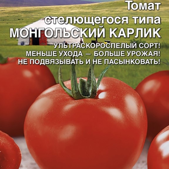 ����� ����������� ������ ����������� ����