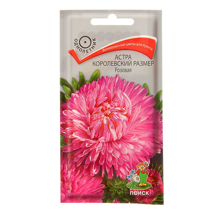 ����� ����������� ������ �������