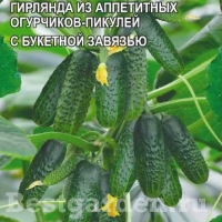 �������������������������������