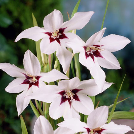 f1_f673865c-e409-4dab-a98e-0197e6049904