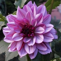 ���� �� ������