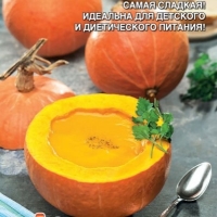 ����� ��������