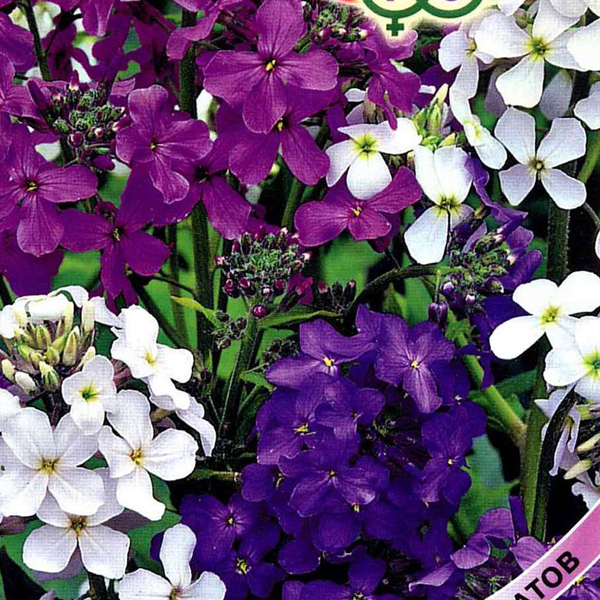 2014-large_default 2014-large_default