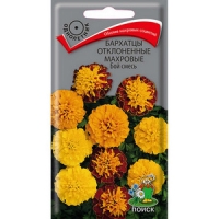 ��� �����