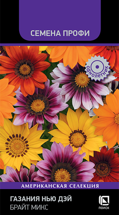 gazania_new_day_bright_mix gazania_new_day_bright_mix