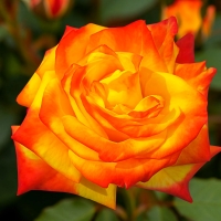 ����� ����q