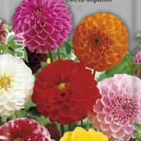 �������� ��������� ����� �������