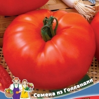 ����� ������ ������ F1