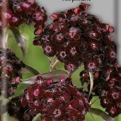 �������������������������������