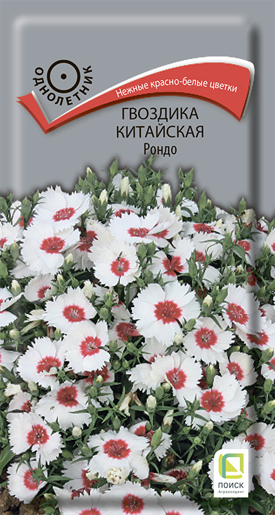 gvozdika_china_rondo gvozdika_china_rondo