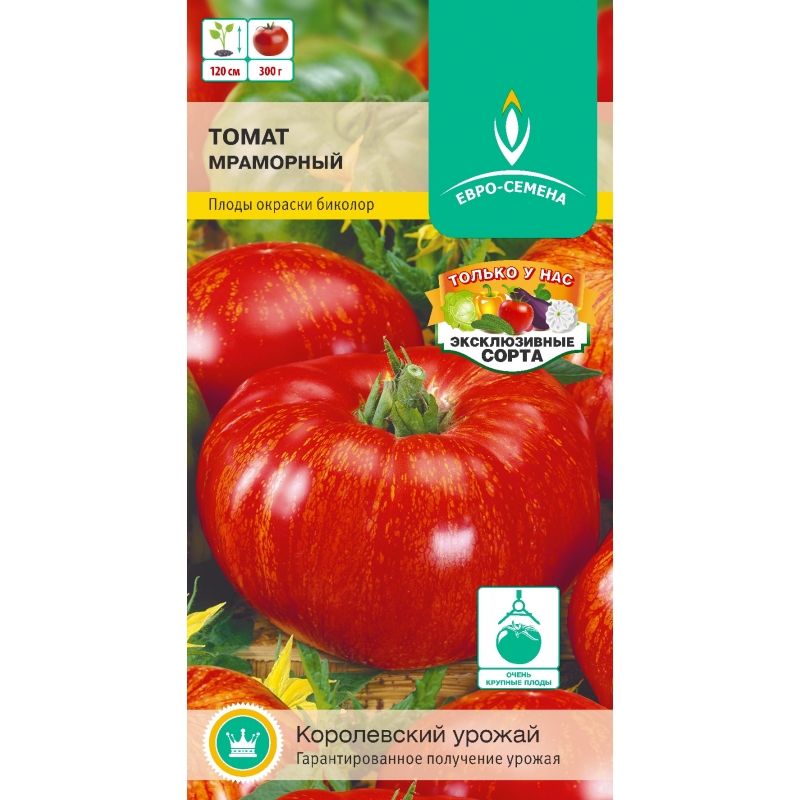 ����� ���������