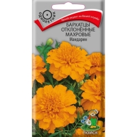 �������� ����������� �������� ��������