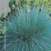 �������������������������������