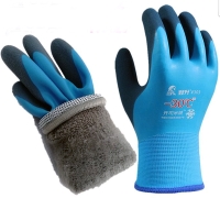 �������� ����