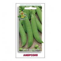 ����� ��������� ��������