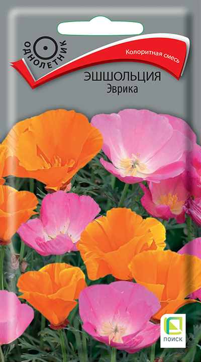 esholciya_evrika esholciya_evrika