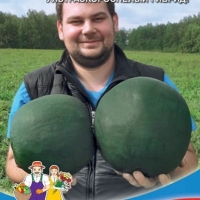 �������������������������������