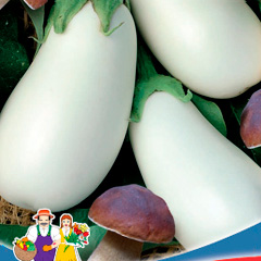 ��������-�����-��������