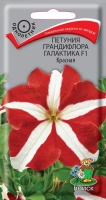petunia_grandiflora_galaktika_f1_krasnaya petunia_grandiflora_galaktika_f1_krasnaya