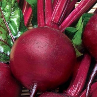 425805183_w640_h640_cid1655091_pid288378019-fb5e1e90