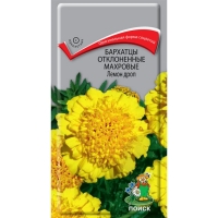 ����� ����