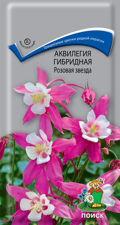 19059