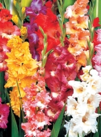 f1_7e437ef8-57ba-4117-9154-4dccf8ea6b97