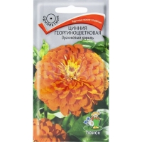 Цинния георгиноцветковая Оранжевый король Цинния георгиноцветковая Оранжевый король