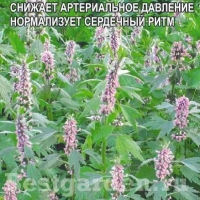 �������������������������������