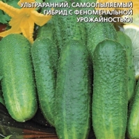 НоменклатураПрисоединенныеФайлы НоменклатураПрисоединенныеФайлы