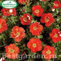 f1_537e42c1-9751-4a30-9255-cffdf09520a9