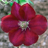 f1_ed4cae10-e2f5-41e0-9a2e-51f817a3ce77 f1_ed4cae10-e2f5-41e0-9a2e-51f817a3ce77