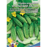 Огурец Уральский засол - корнишон Огурец Уральский засол - корнишон