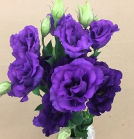 �������������������������������