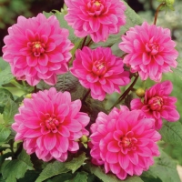 f1_9e190ffe-84ef-440e-8a2a-ee0f25fd1551