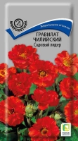 gravilat_chilli_sadovy_lider
