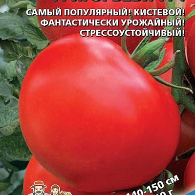 �������� �����������